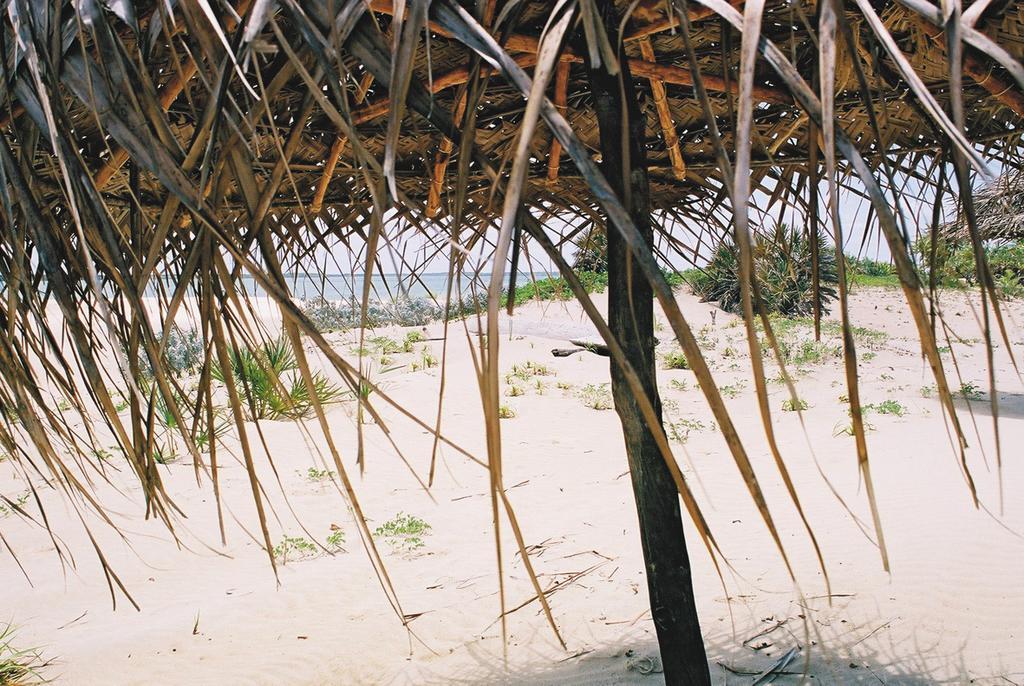Kizingo Lamu Exterior foto